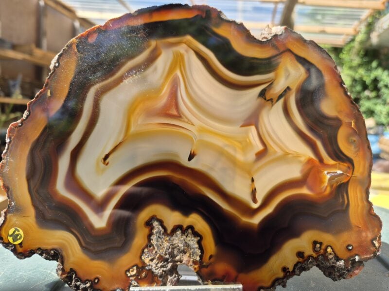 Agate Brésil extra 5