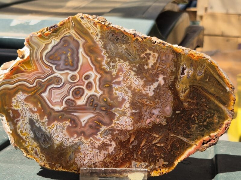 Agate crazy lace