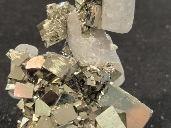 Pyrite et calcite extra