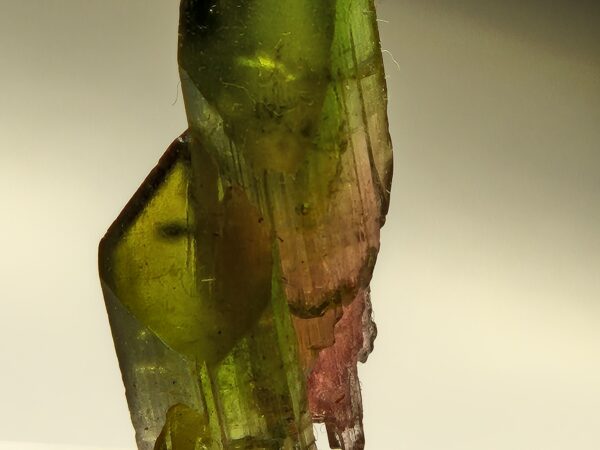 Tourmaline melon