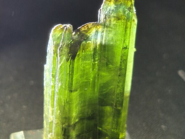 Tourmaline verte cristal