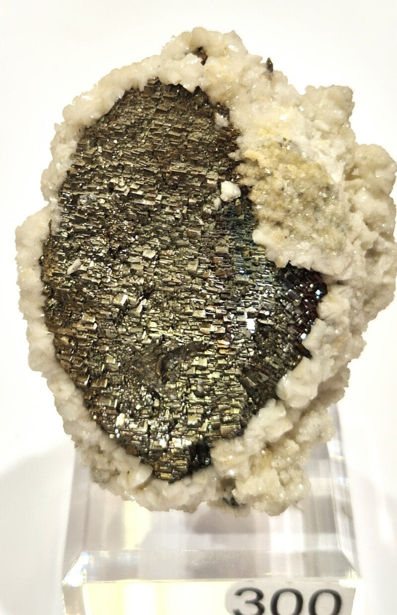  Arsenopyrite Panasqueira