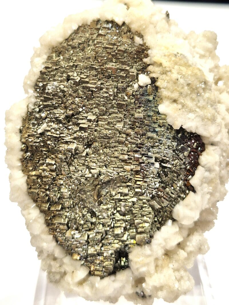  Arsenopyrite Panasqueira