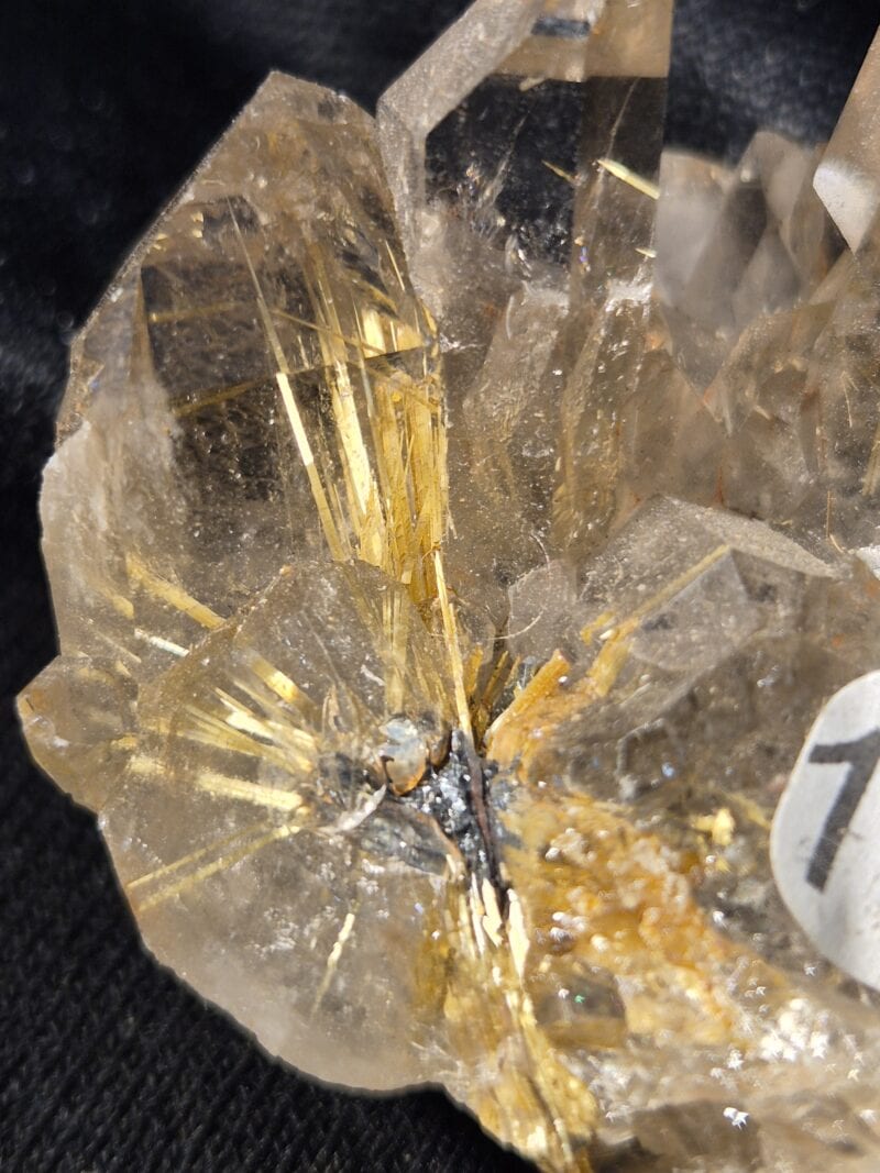 Rutile Brésil13