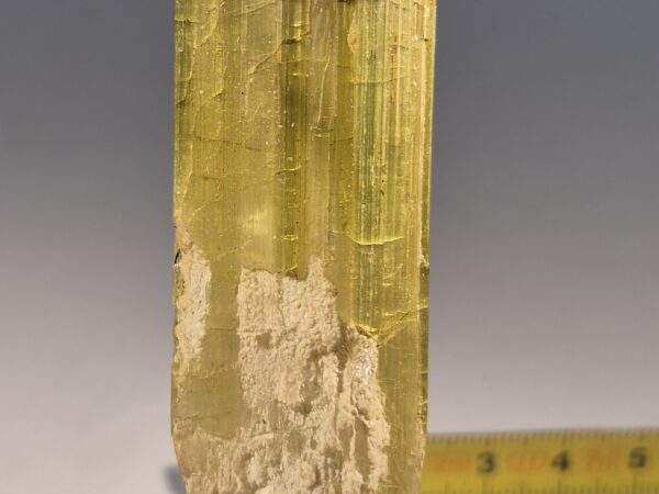 Tourmaline Urubu1