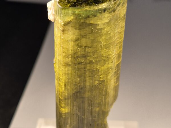 Tourmaline Urubu2