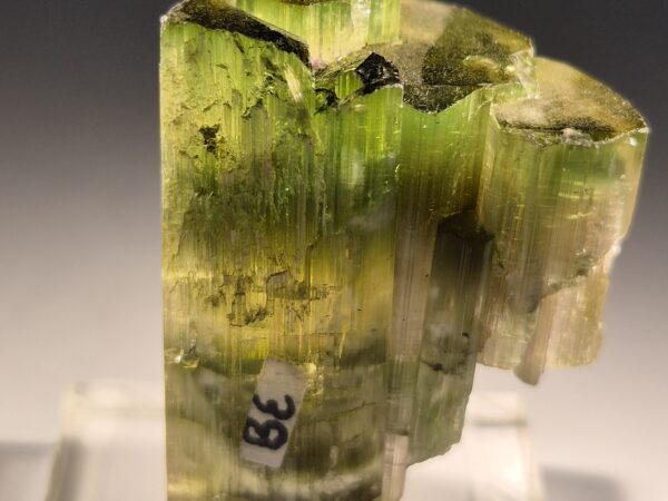 Tourmaline bicolore1