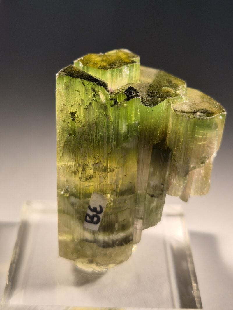 Tourmaline bicolore1