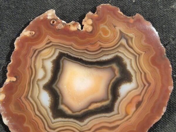 Agate Brésil tranche4