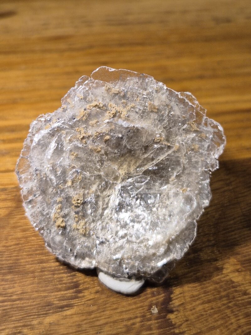 Polylithionite