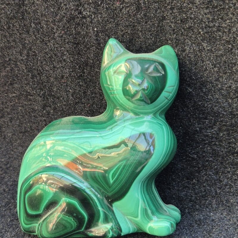 Chat Malachite