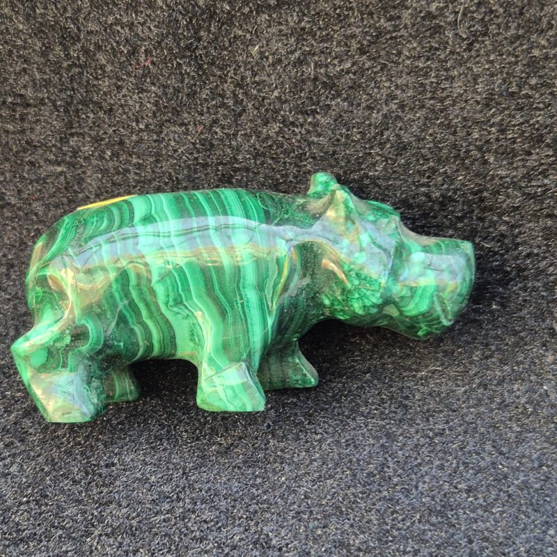 Hippopotame Malachite