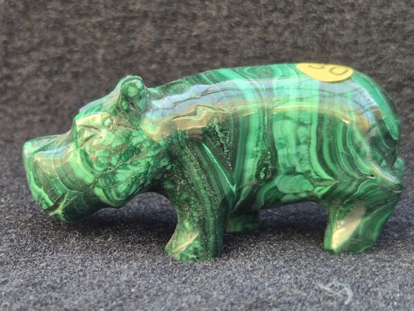 Hippopotame Malachite