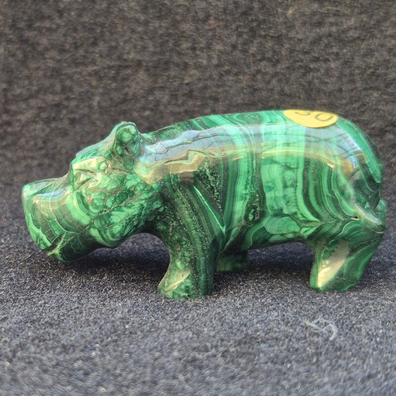 Hippopotame Malachite