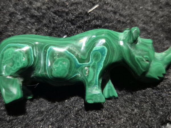 Rhinocéros Malachite