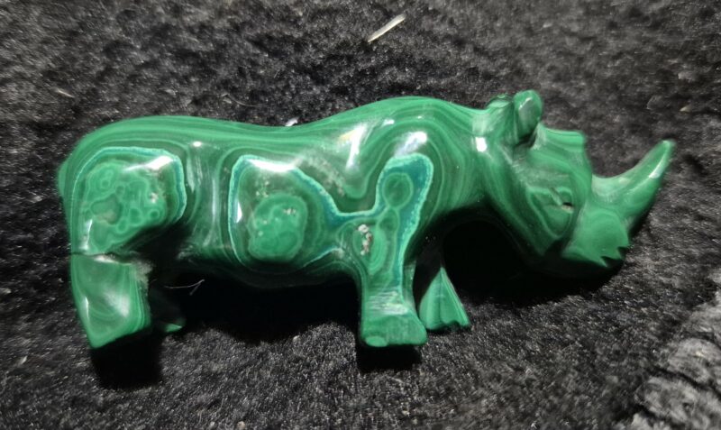 Rhinocéros Malachite