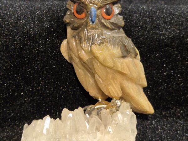 Hibou aragonite