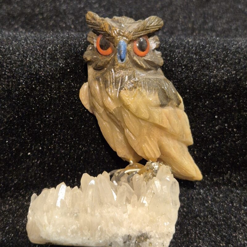 Hibou aragonite