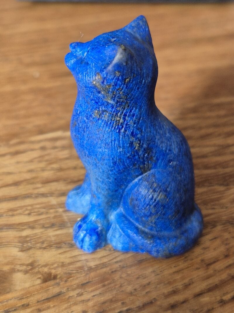 Chat Lapis lazuli