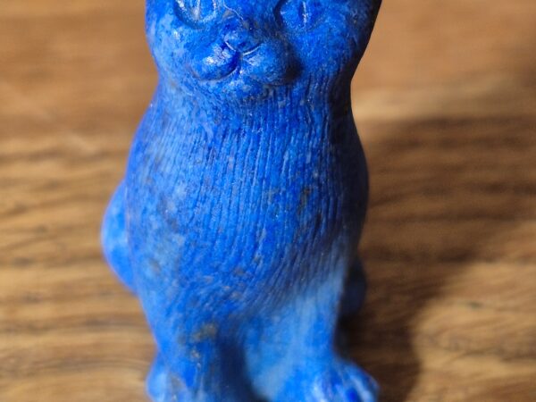 Chat lapis lazuli