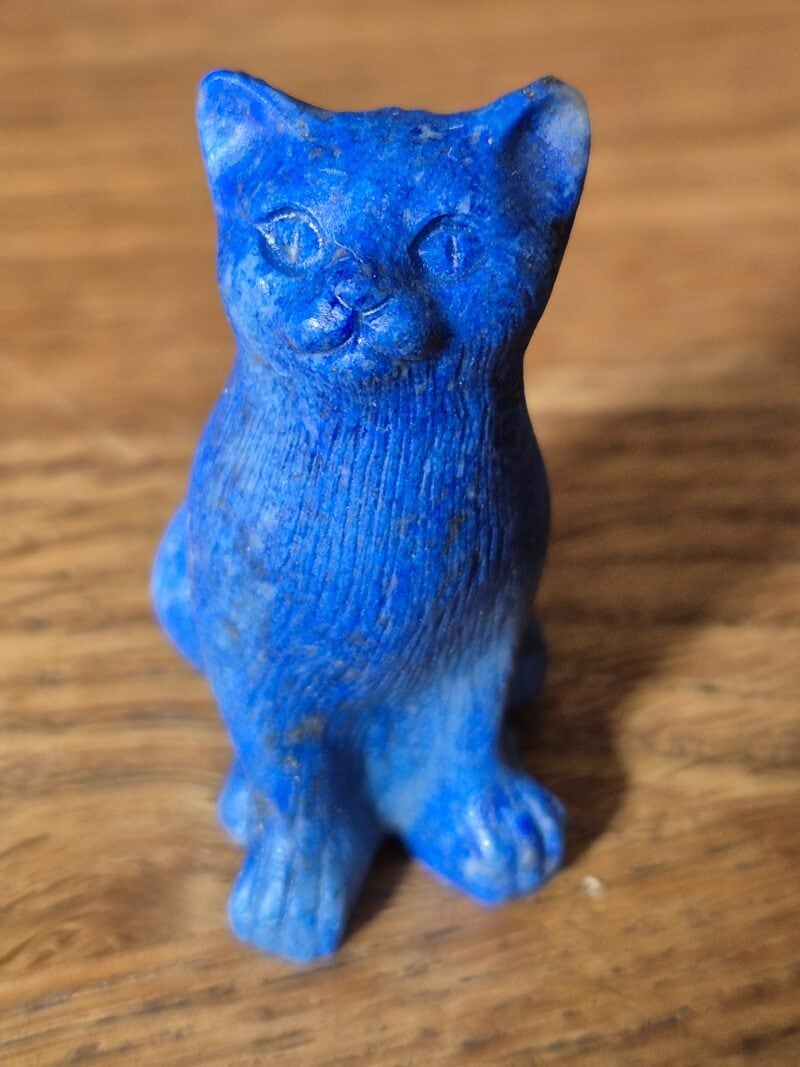 Chat lapis lazuli