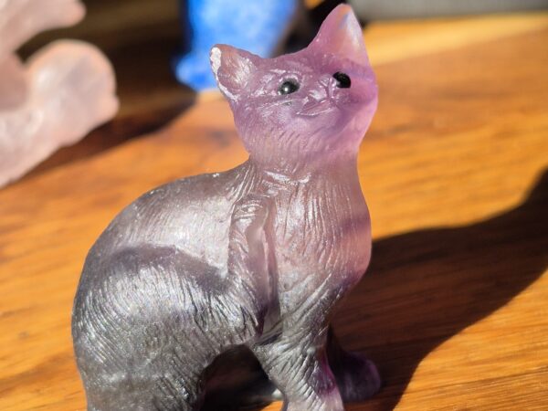 Chat fluorite violette