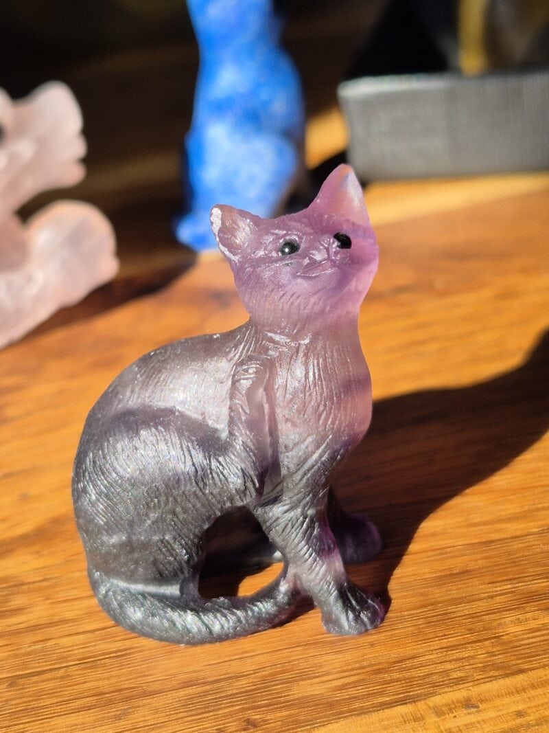 Chat fluorite violette