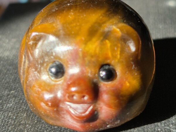 Cochon oeil de tigre