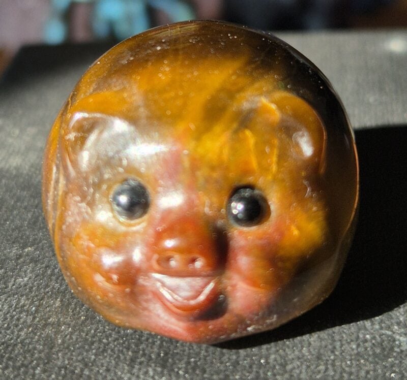 Cochon oeil de tigre