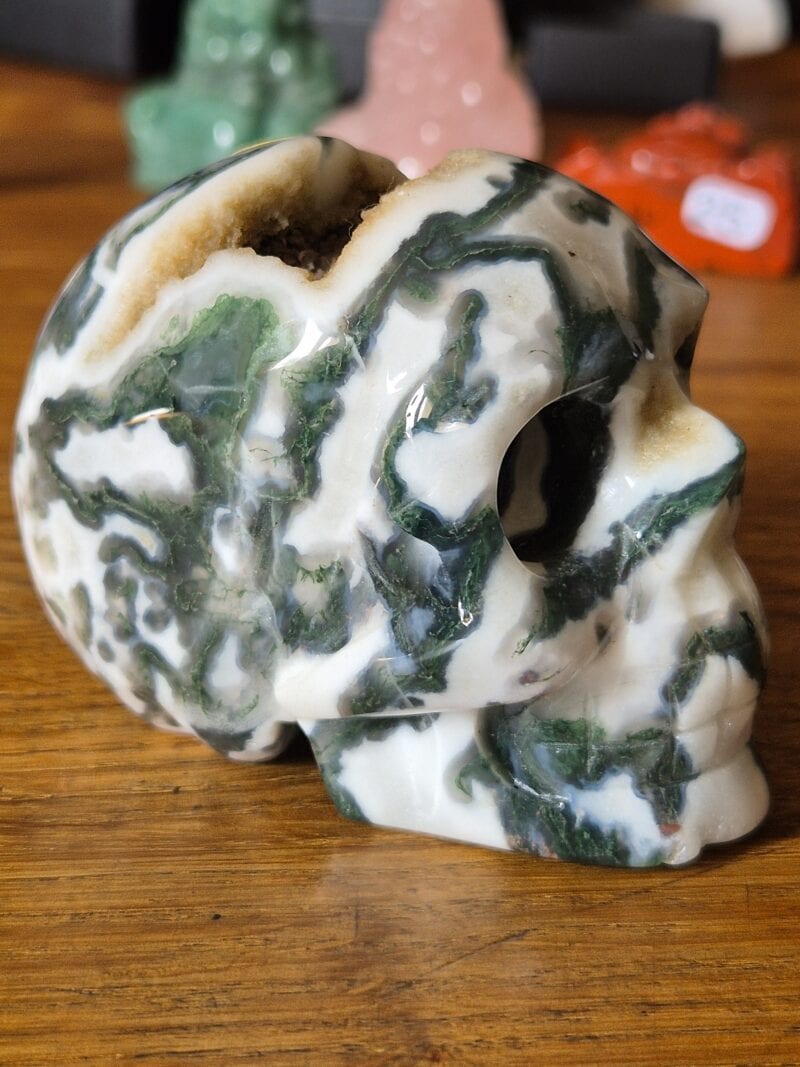 Crâne en agate mousse