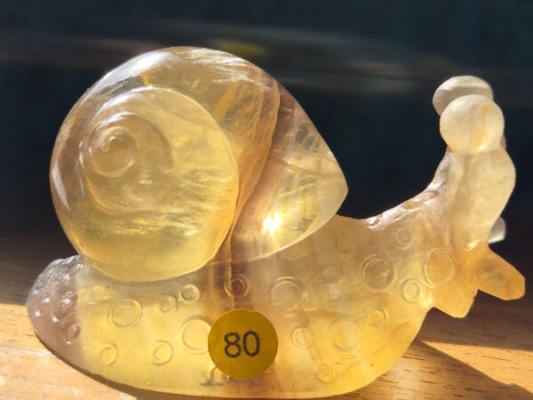Escargot fluorite jaune