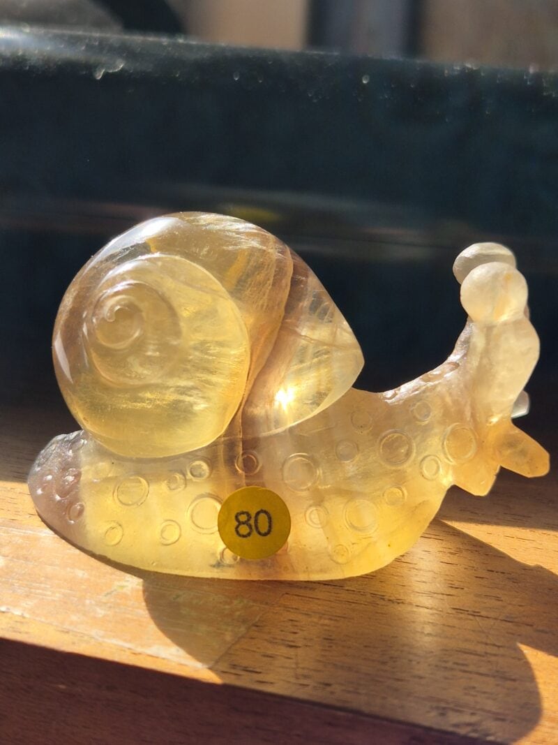 Escargot fluorite jaune
