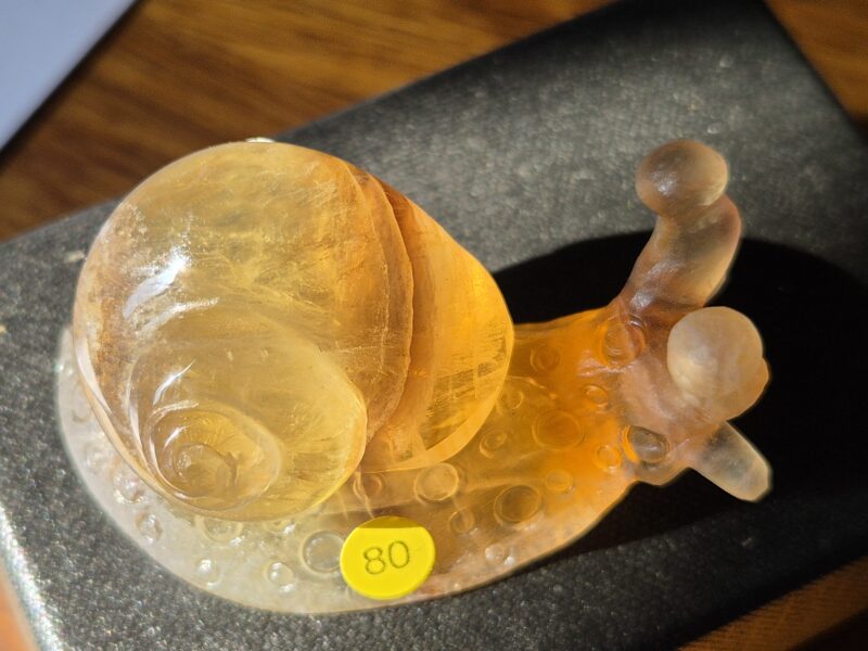 Escargot fluorite jaune
