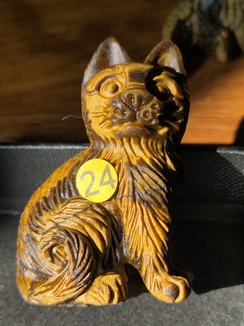 Chat oeil de tigre
