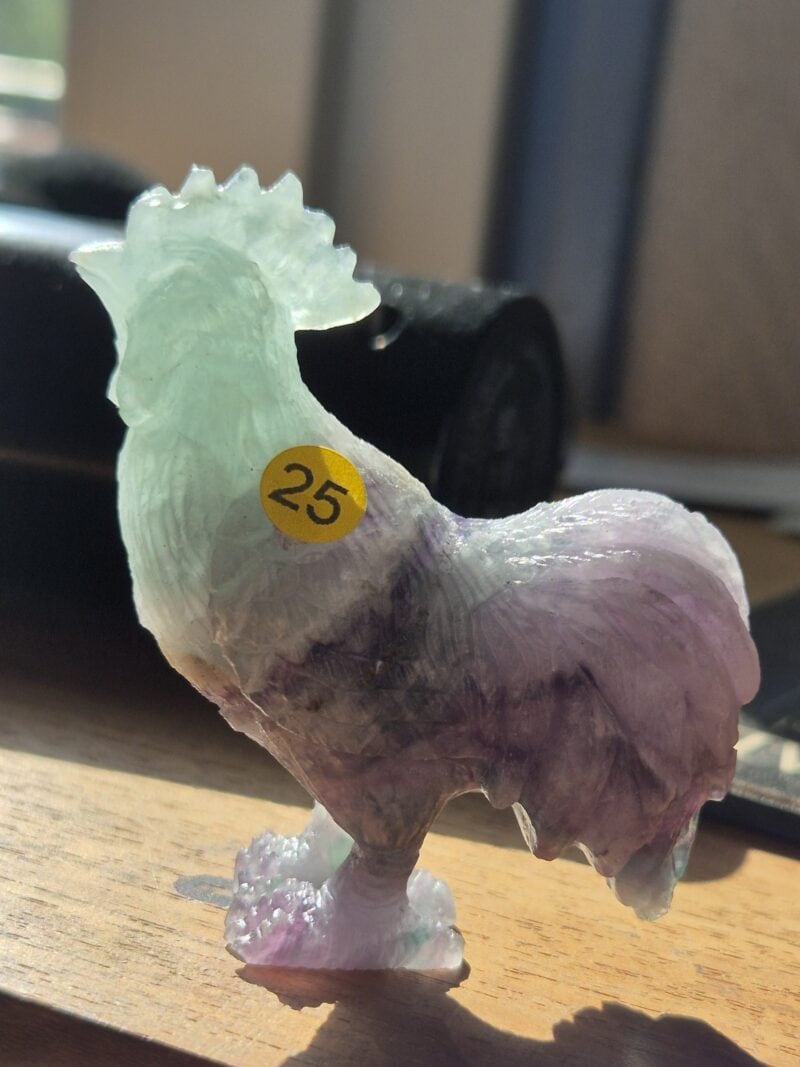Coq fluorite multicolore