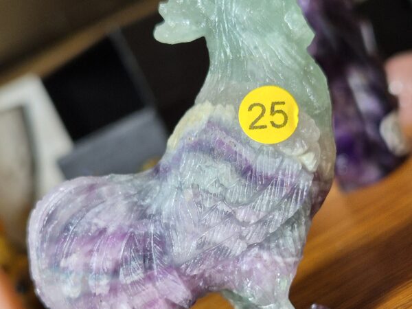 Coq fluorite multicolore