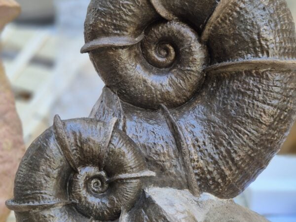 Bloc double Lytoceras