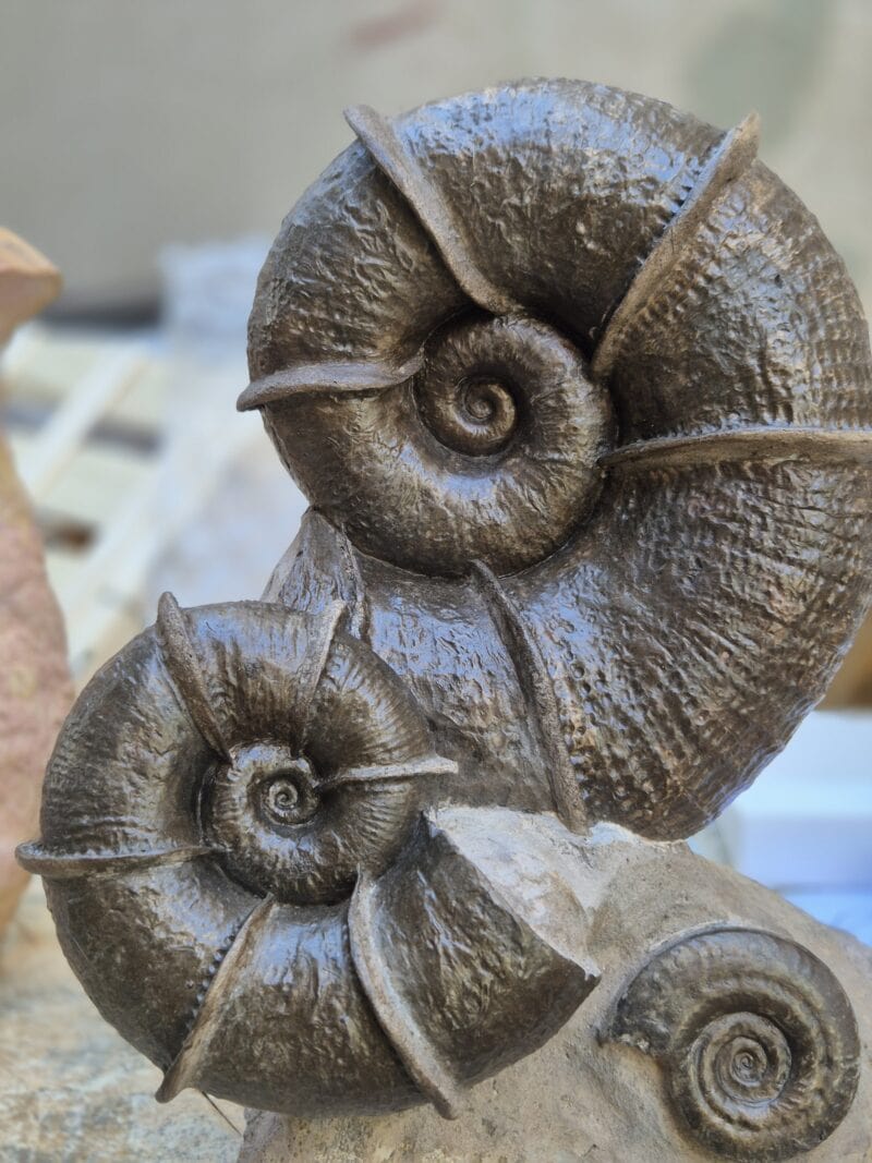 Bloc double Lytoceras