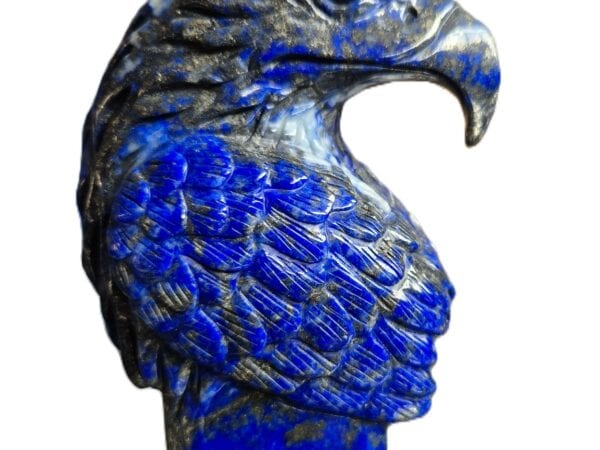 Aigle tête lapis