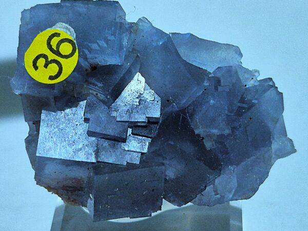 Fluorite cubes bleus