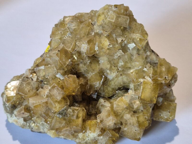 Fluorine Argentolle