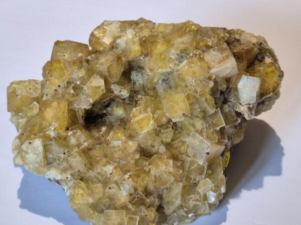 Fluorine Argentolle