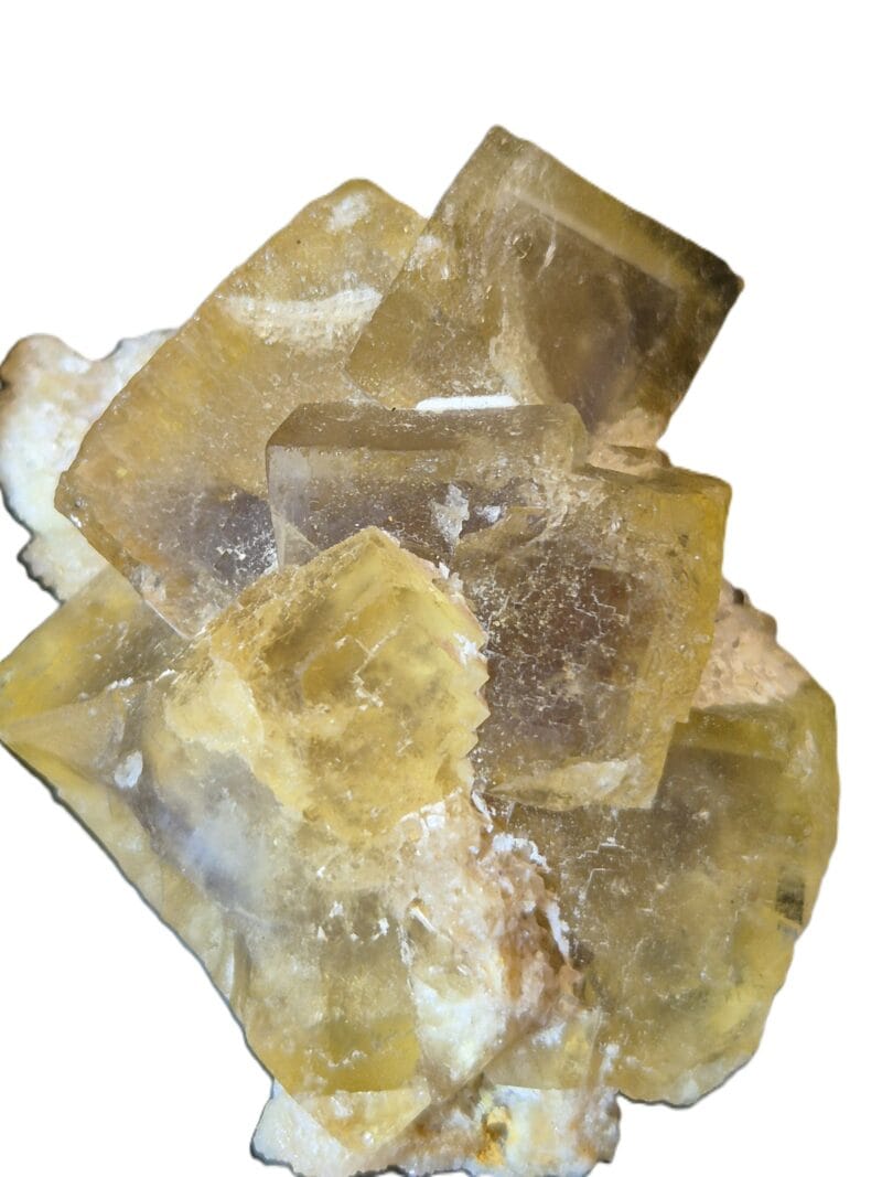 Fluorine du Beix 