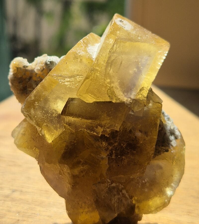 Fluorine du Beix 