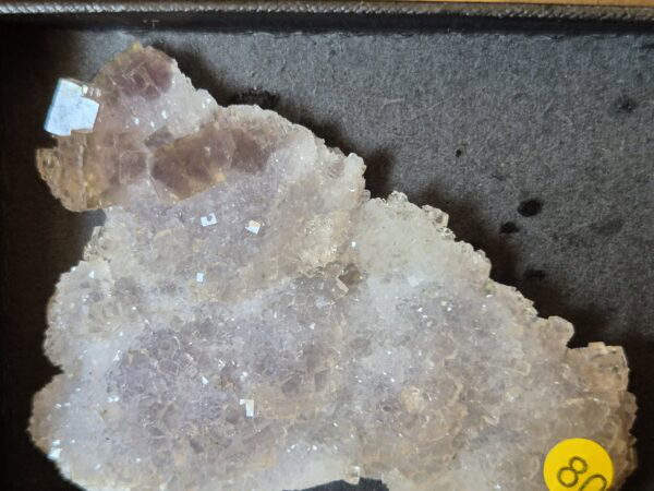 Fluorite Fonsante n24