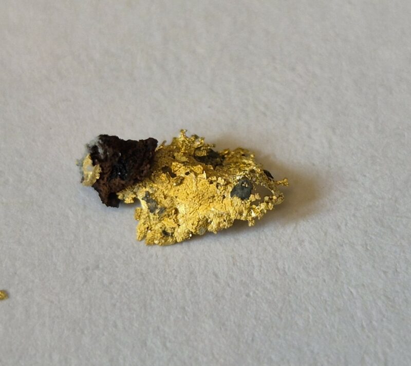 Or Natif feuille