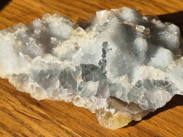 Fluorine bicolore la Barre