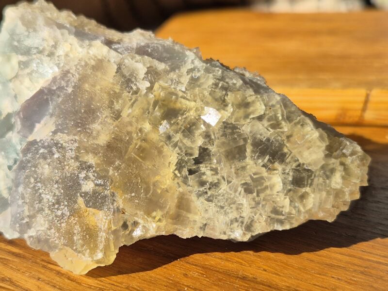 Fluorine bicolore la Barre