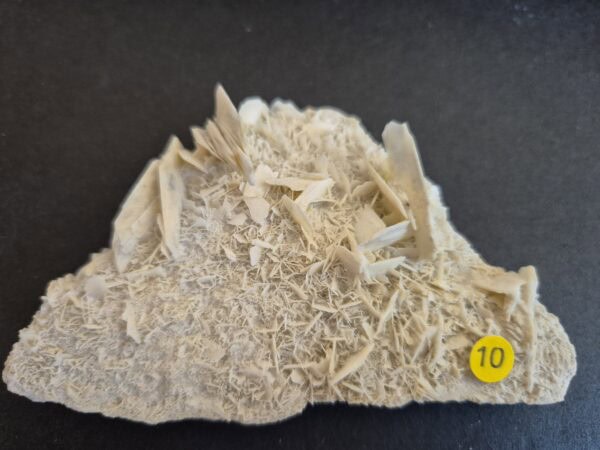 Baryte druse