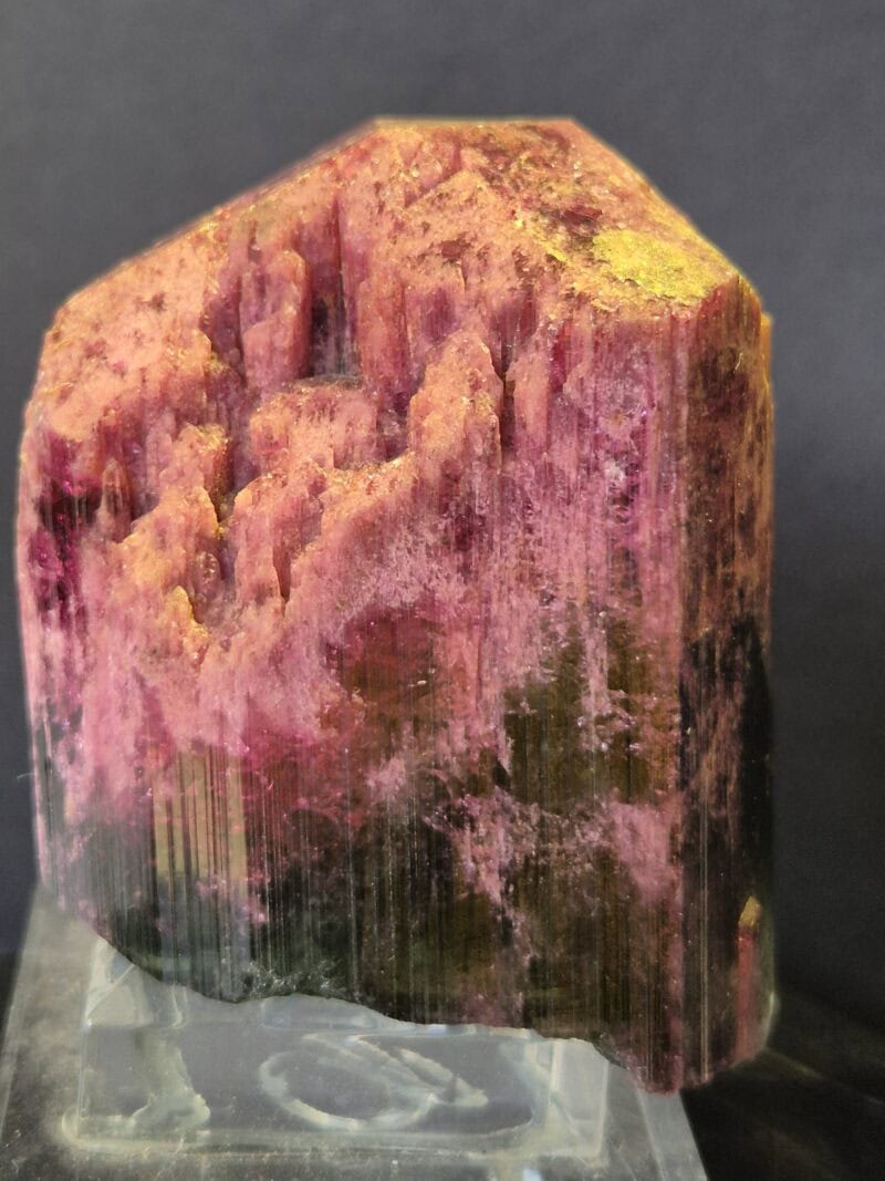 Rubellite Virgem